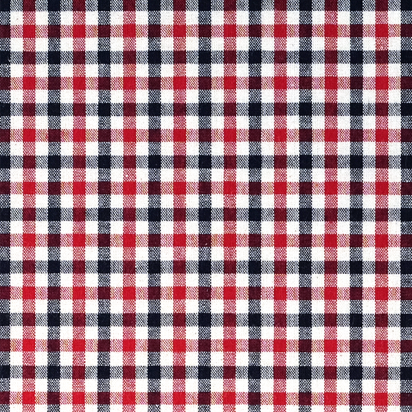 Gingham Cotton Pocket Square - Red