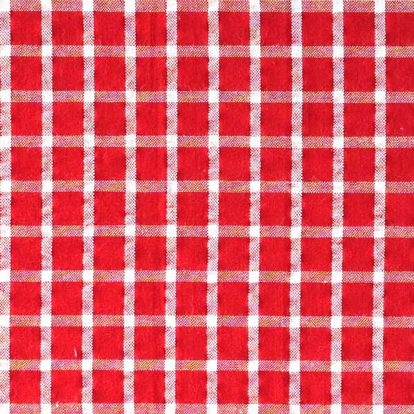 Seersucker Checkered Pocket Square - Red